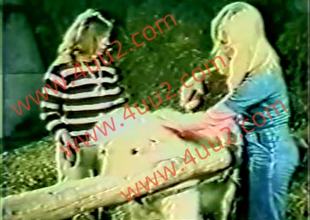 photo5